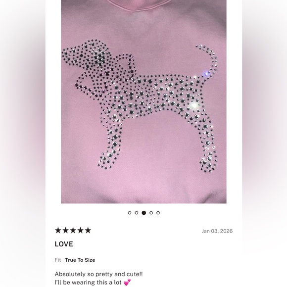 PINK x LoveShackFancy Pink Crewneck Sweatshirt Dress dog crystals shine - Picture 10 of 16